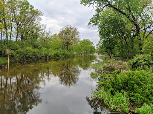 Image of Thatcher Woods