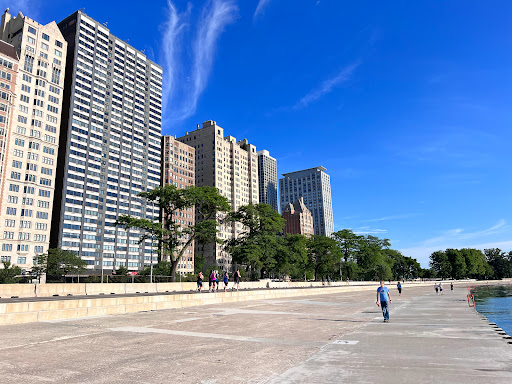 Image of The Concrete Beach
