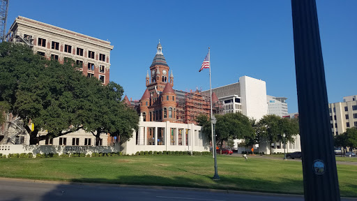 Image of The Grassy Knoll