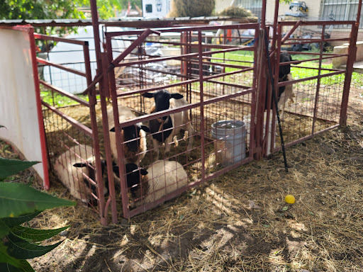 Image of The Haunted Orchard