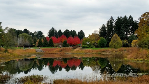 Image of The Morton Arboretum