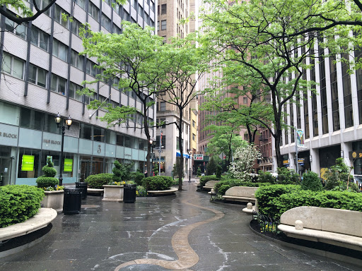 Image of The Queen Elizabeth II Garden