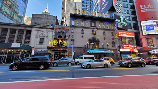 Image of The Ride NYC