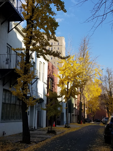 Image of The Rosenbach