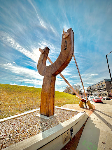 Image of The Slingshot