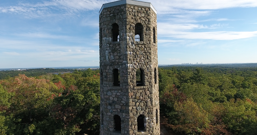 Image of The Stone Tower