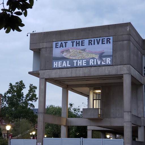 Image of The University Museum