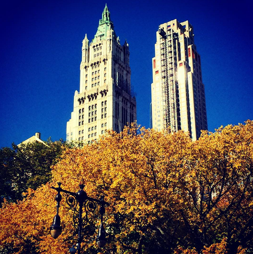 Image of The Woolworth Building