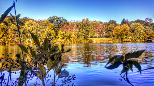 Image of Three Creeks Metro Park
