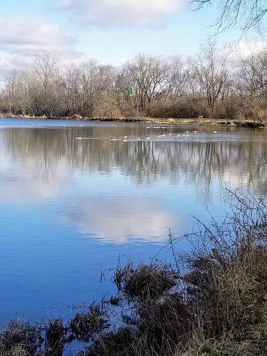 Image of Three Creeks Park - Madison Mills Area