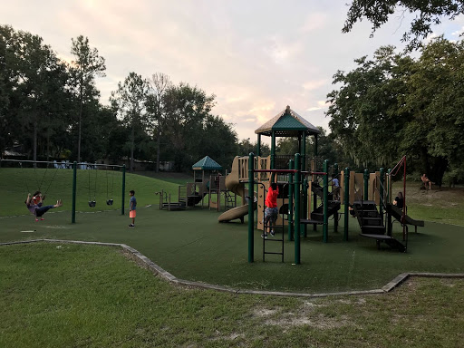 Image of Tiger Minor Park