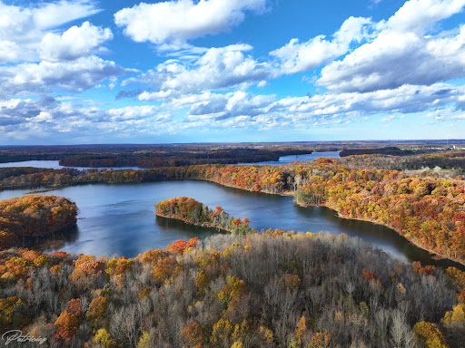 Image of Towner's Woods