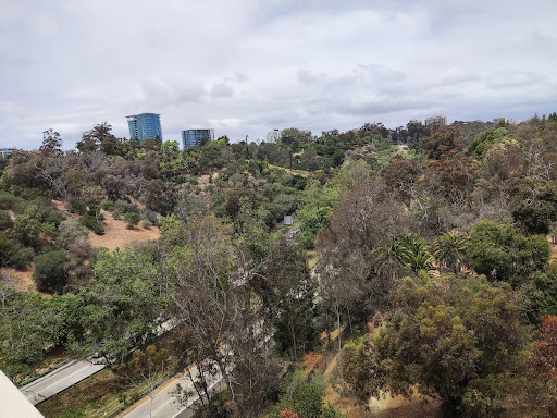 Image of Trees for Health Garden