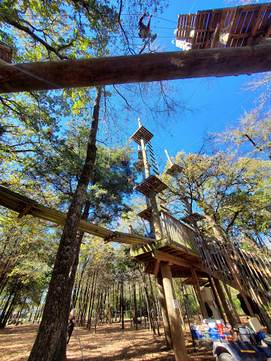 Image of Trinity Forest Adventure Park