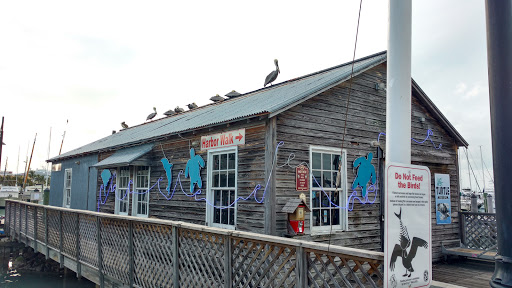 Image of Turtle Cannery Museum