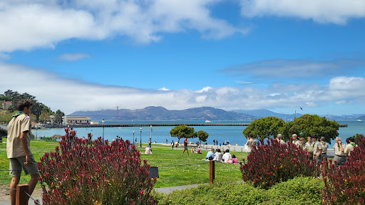 Image of Umbrella Alley San Francisco