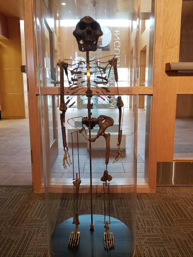 Image of University of Wyoming Anthropology Museum