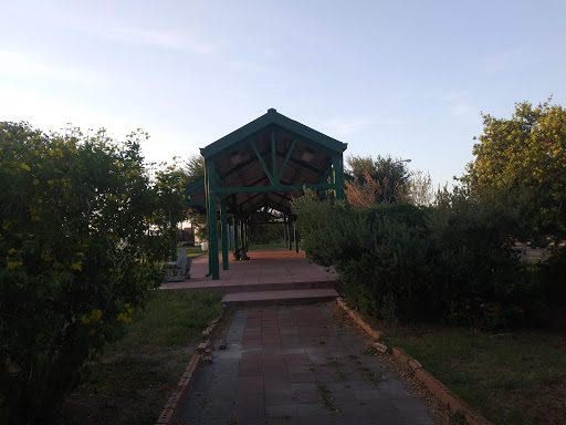 Image of Urban Xeriscape Garden