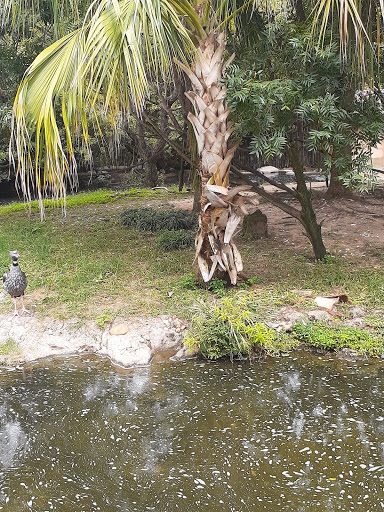 Image of Vera Bradfield Park