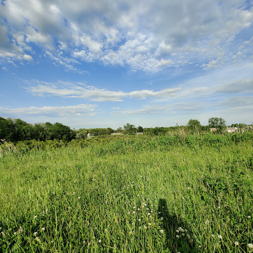 Image of Veterans Memorial Park
