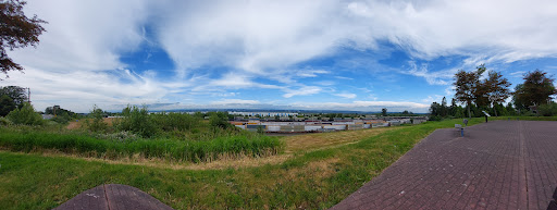 Image of Viola Oursler Viewpoint
