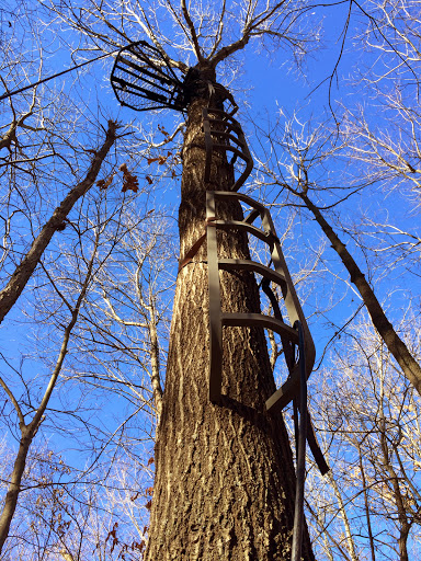 Image of Walnut Woods Conservation Area