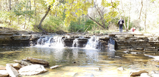 Image of Waterfall Glen Forest Preserve
