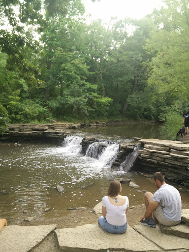 Image of Waterfall Glen Forest Preserve