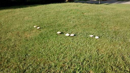 Image of Wathen Park