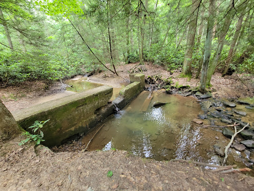 Image of West Virginia Botanic Garden