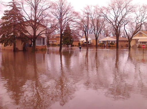 Image of Westchester Woods