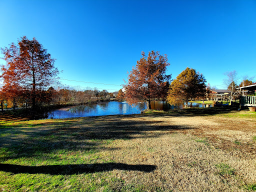 Image of Why Not An American Ark