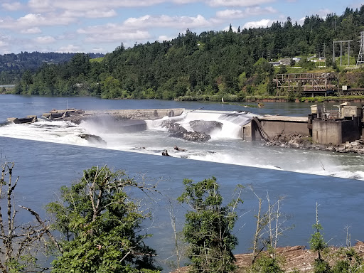 Image of Willamette Falls Scenic Viewpoint