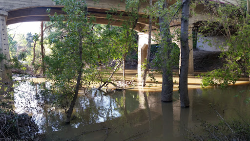 Image of William Street Park