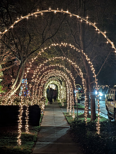Image of Willow Glen Holiday Lights