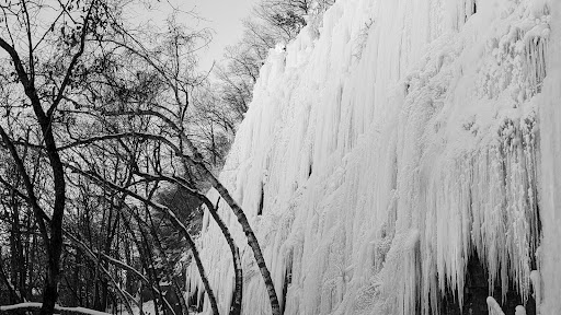 Image of Winona Ice Park