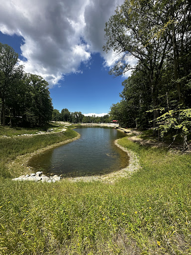 Image of Wolf Creek Waterfall