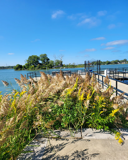 Image of Wolf Lake Boardwalk