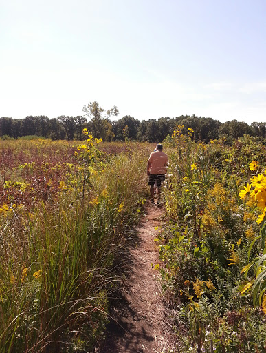 Image of Wolf Road Prairie Nature Preserve