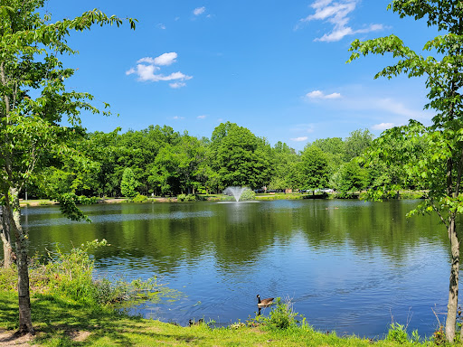 Image of Wood Dale County Park