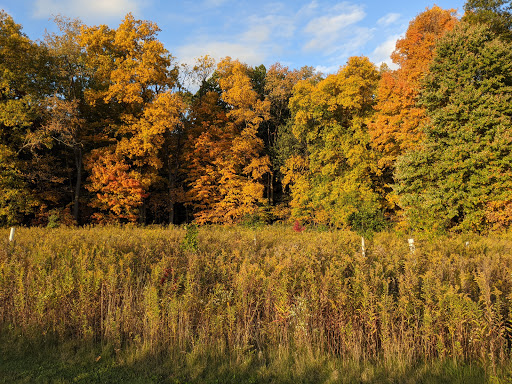 Image of Wooster Memorial Park (formerly Spangler)