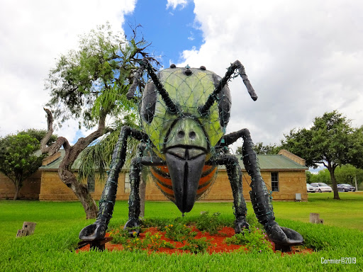 Image of Worlds Largest Killer Bee