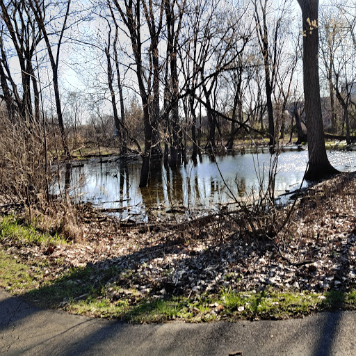 Image of York Woods Forest Preserve