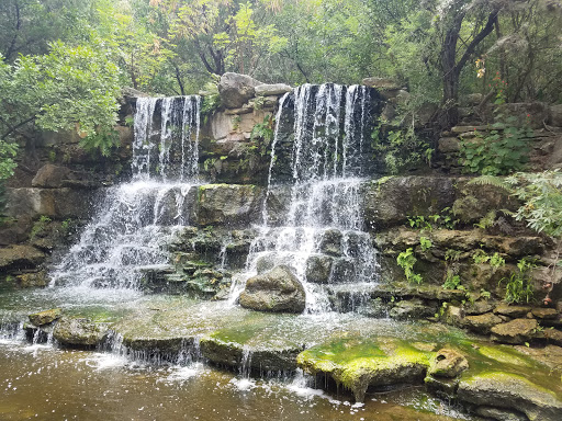 Image of Zilker Botanical Garden
